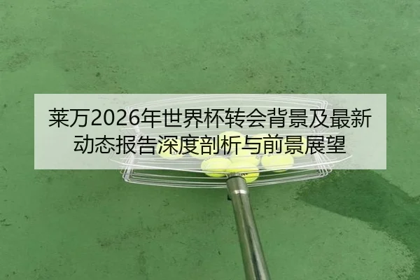 莱万2026年世界杯转会背景及最新动态报告深度剖析与前景展望