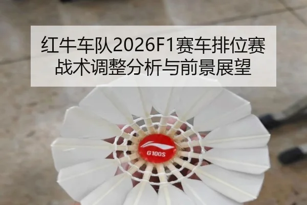 hong-niu-che-dui-sai-che-pai-wei-sai-zhan-shu-tiao-zheng-fen-xi-yu-qian-jing-zhan-wang-2-295.jpg