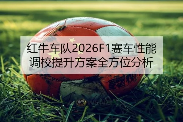 hong-niu-che-dui-sai-che-xing-neng-diao-xiao-ti-sheng-fang-an-quan-fang-wei-fen-xi-2-382.jpg