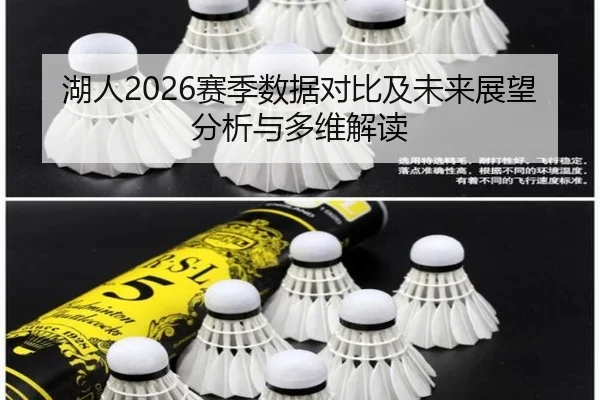湖人2026赛季数据对比及未来展望分析与多维解读
